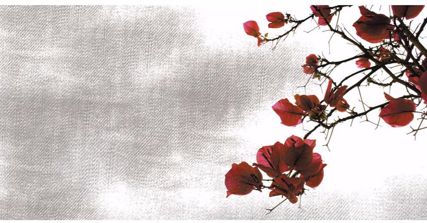 Creativespace Моющиеся флизелиновые обои с цветочными мотивами Wallpaper 2016 sun-id-1470814 - Вид №2