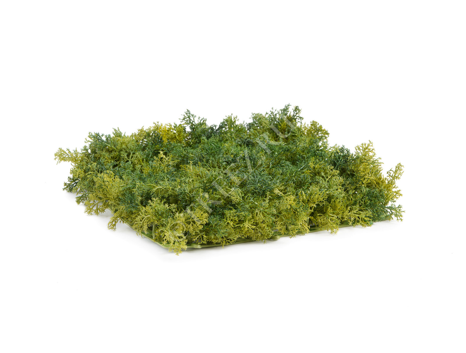 20.072027N-S Мох Ягель зелёный микс (коврик) Цветочная коллекция  - Вид №1