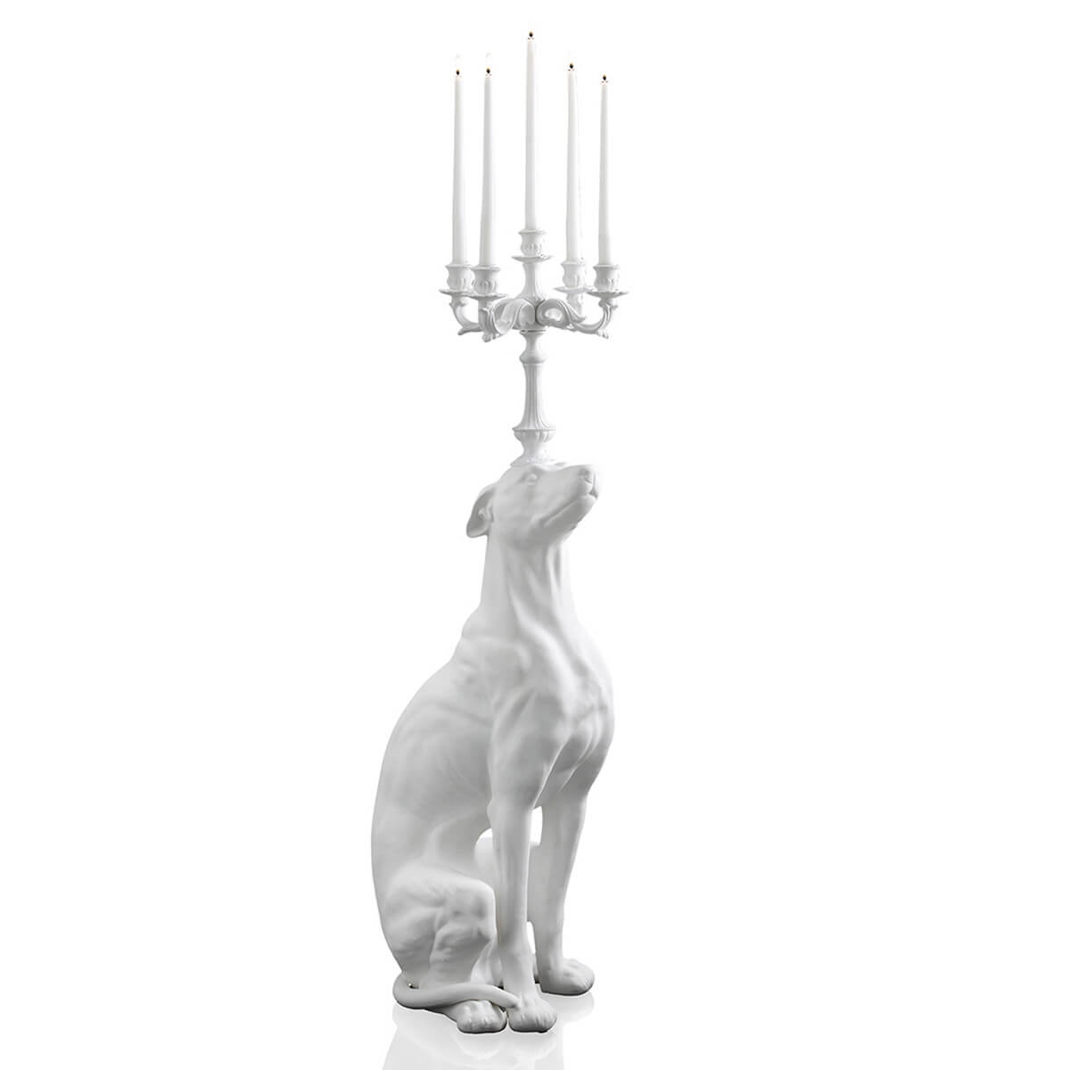 300064,1 ABHIKA СВЕЧА. ГРЕЙХАУНД БИСК. WHITE 300064.1