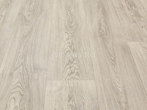 Линолеум бытовой SMART BINGO - (Смарт Бинго) i506335