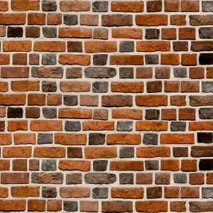 C1-233 Фотообои DIVINO Collection C 2.7х2 м