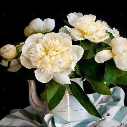 WP01661 Фотообои Verol Фотообои decoline 1х1 м