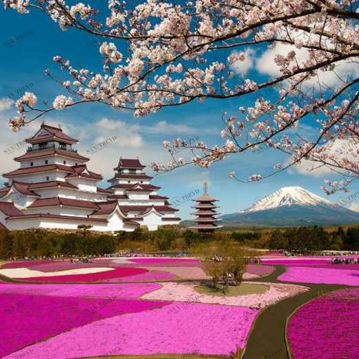 WP01202 Фотообои Verol Фотообои decoline 1х1 м