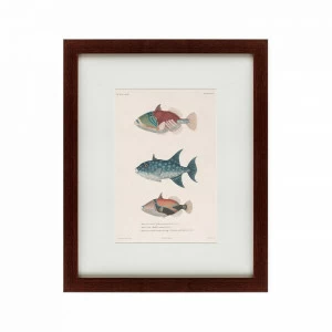 Картина: Tropical Fish, 1830 КАРТИНЫ В КВАРТИРУ  135737 Разноцветный