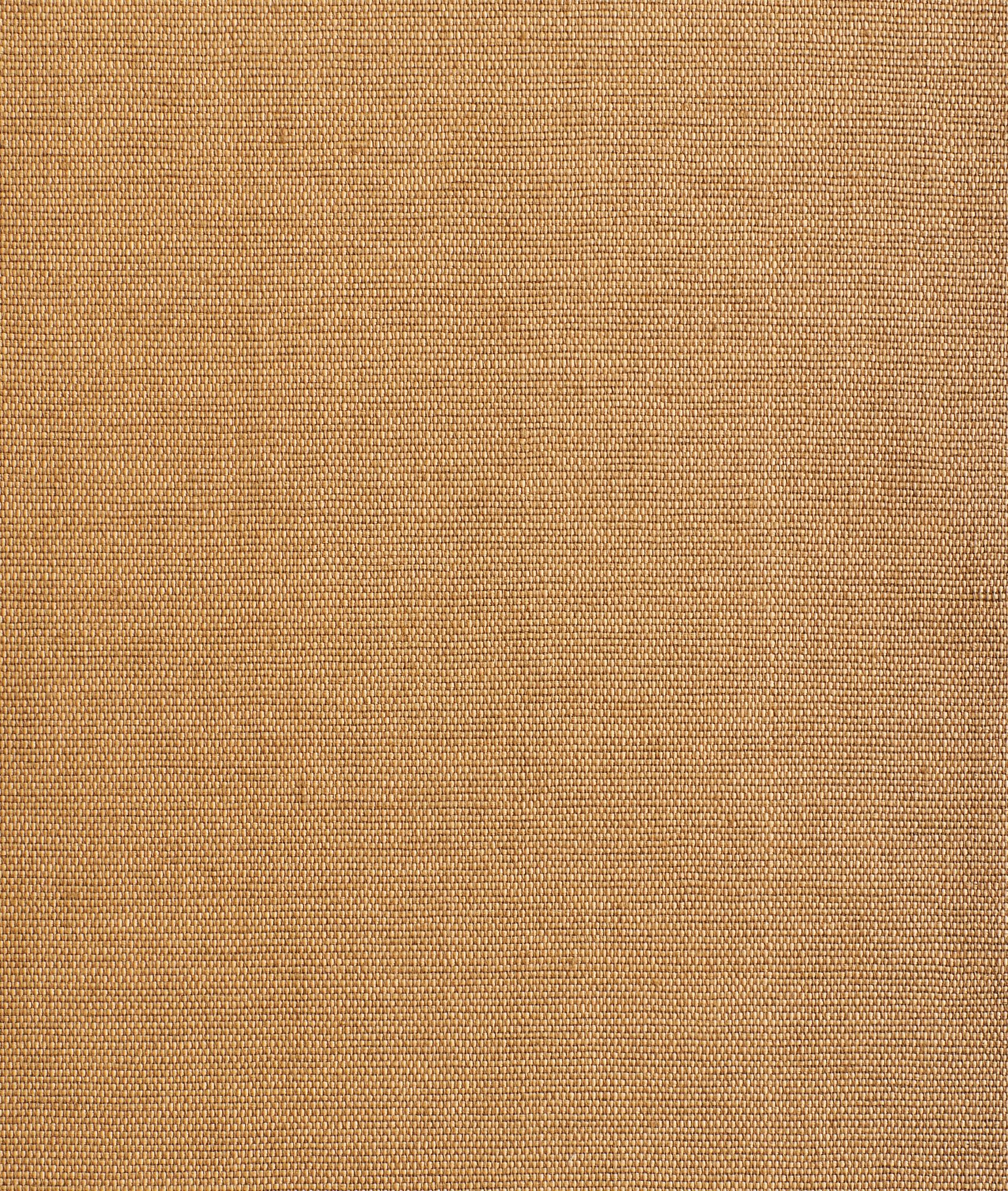 Обычная ткань из полиамида и льна Dedar Didgeridoo ARCH-00032252 - Вид №5