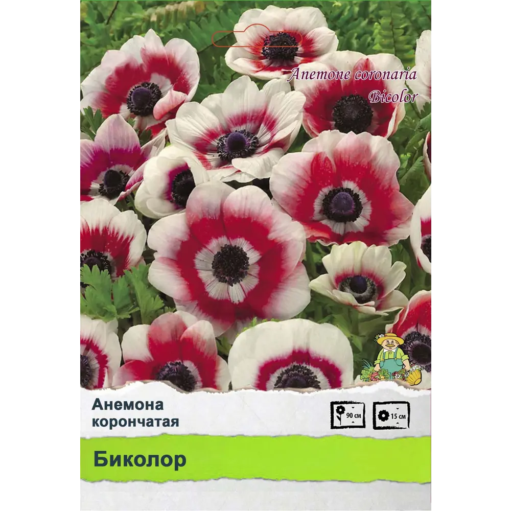 Ирис Промо 89452343 STLM-2005588 ПОИСК 