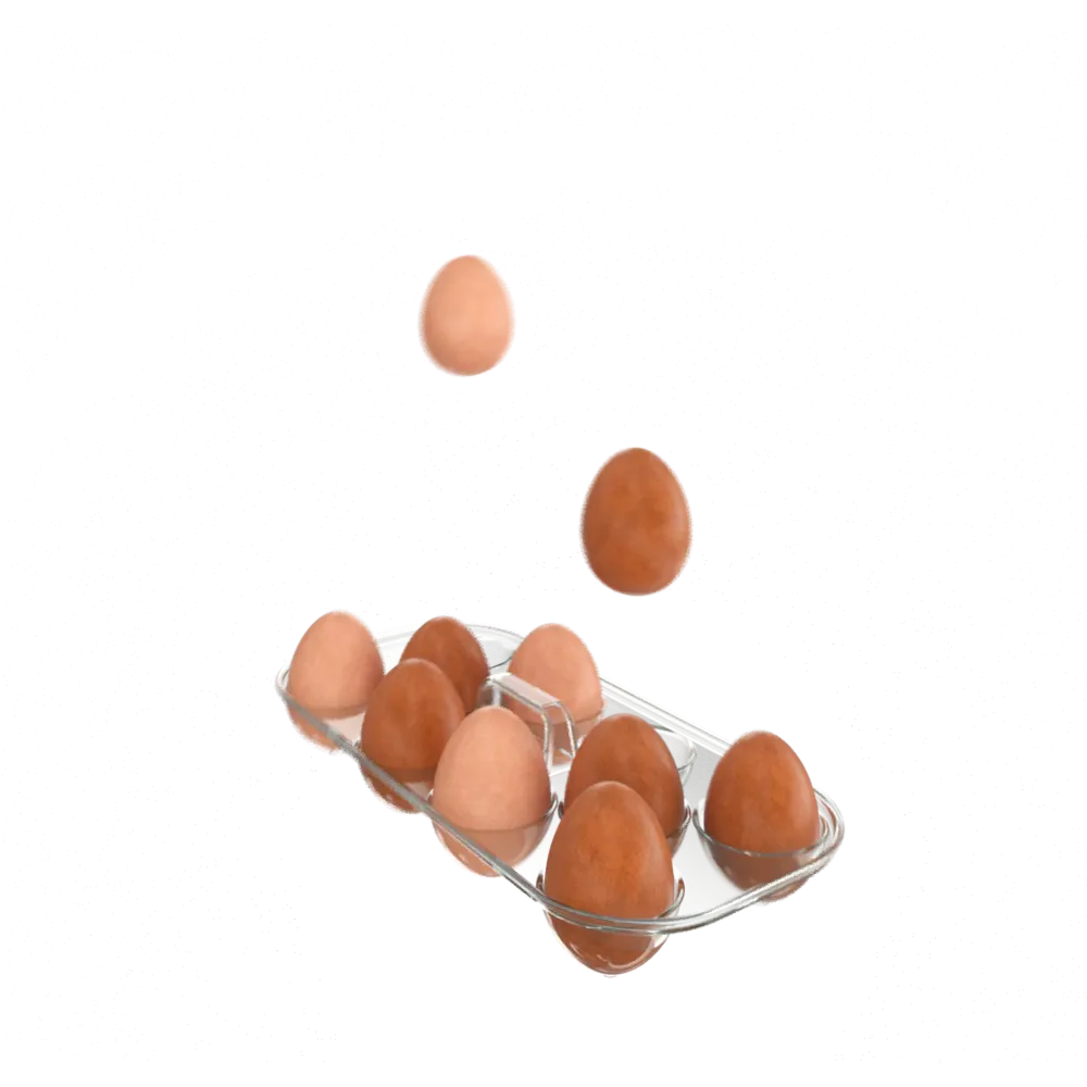 DELINIA Контейнер для яиц на 10 штук с ручкой 85091221 STLM-0058649 - Вид №4