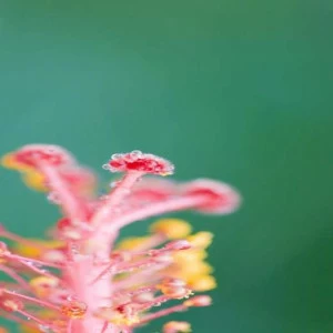 WP00056 Фотообои Verol Фотообои decoline 1х1 м