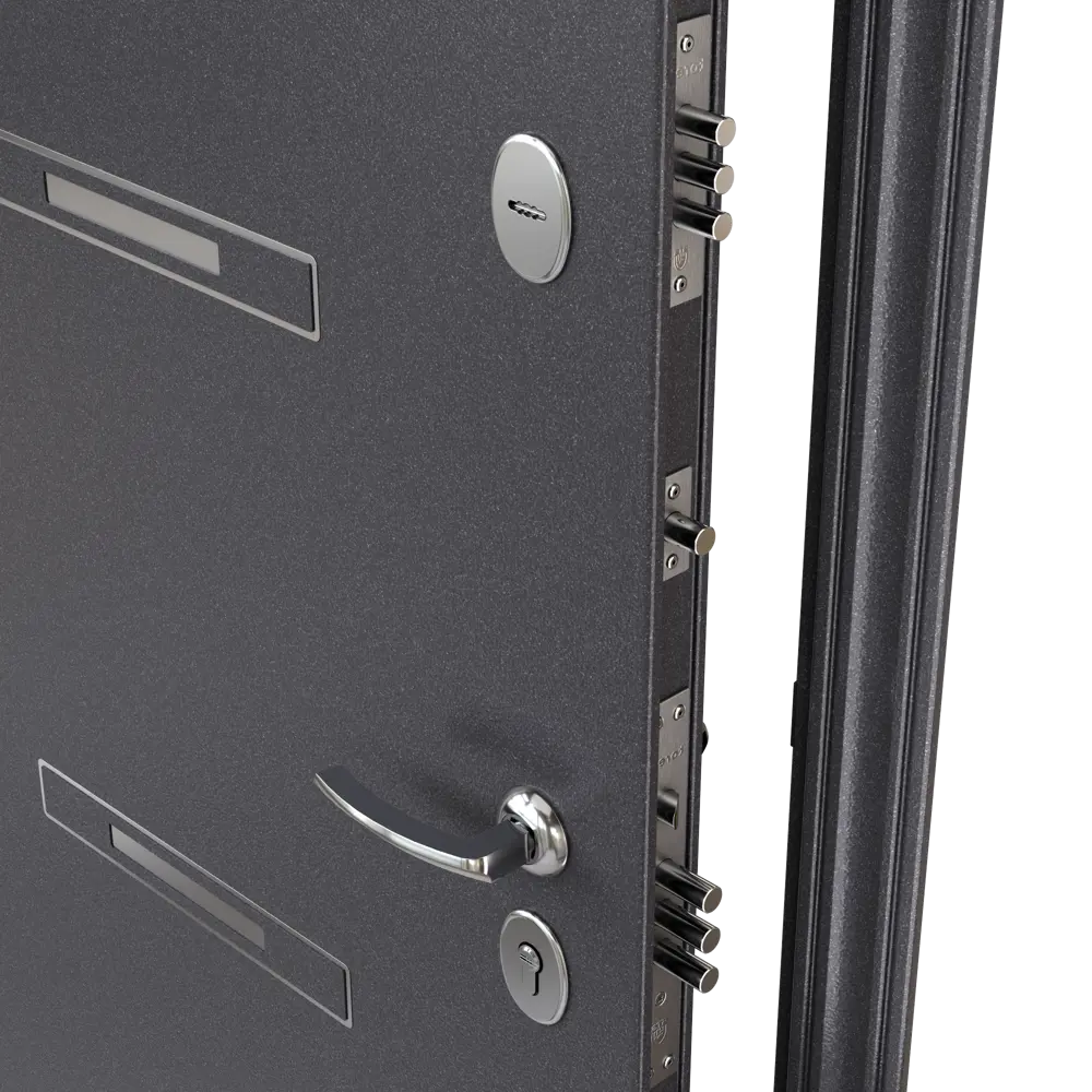 TOREX Клауд Вижн — металлическая входная дверь с защитой и стилем 89392522 STLM-1371887 - Вид №3