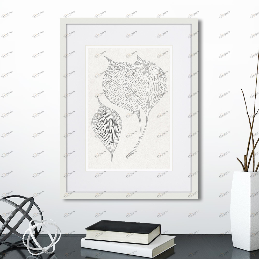 Картина белая 42х32 см The Fern Collection №2 КАРТИНЫ В КВАРТИРУ  00-3894675 Белый 