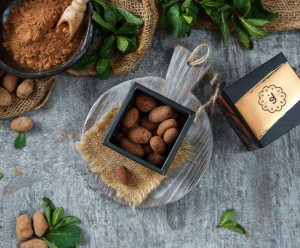 5560 Какао-бобы в шоколаде Вкусляндия