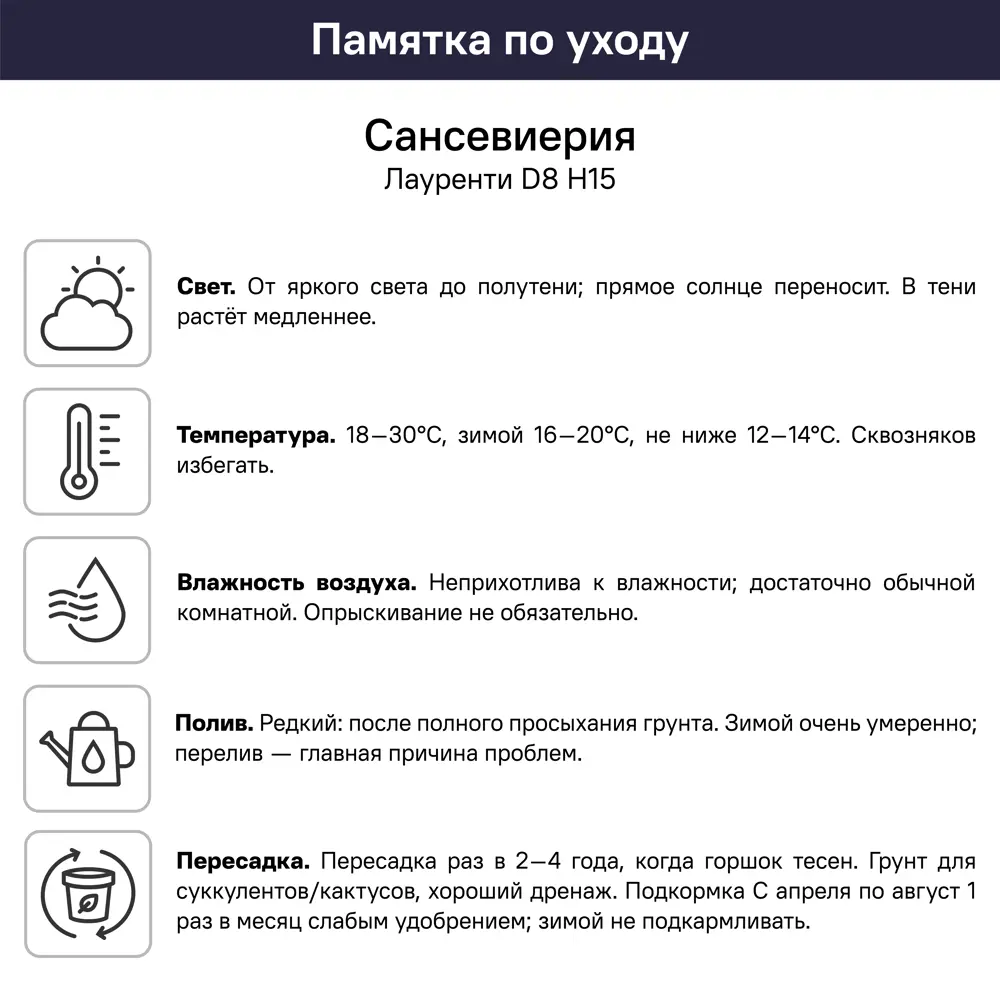 Сансевиерия Лауренти ø14 h15 см 89447695 STLM-2207038 Santreyd  - Вид №4