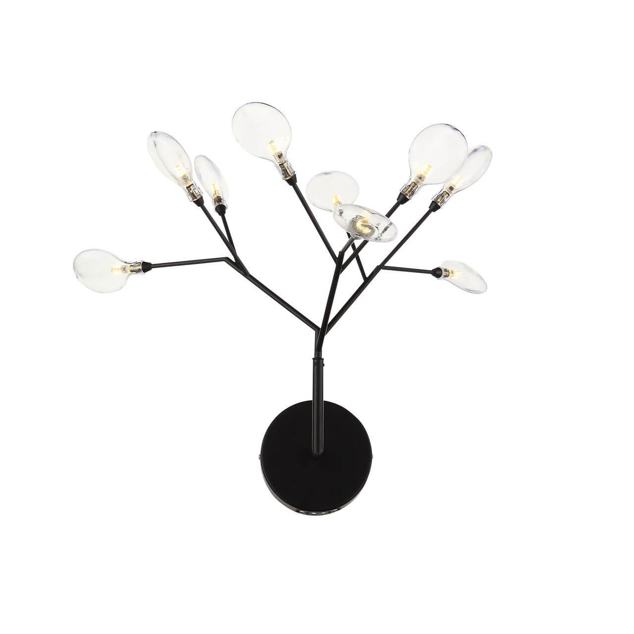 Бра светодиодное на 9 ламп черное Riccardo SL411.401.09 ST LUCE ФЛОРИСТИКА 00-3932064 Прозрачный;черный  - Вид №2