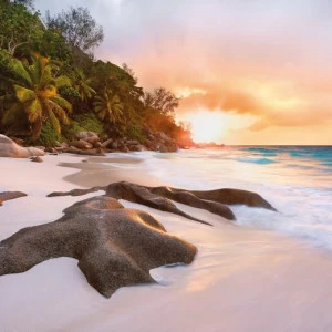 XXL4-048-Nature Фотообои Komar Into Illusions Edition 2 3.68х2.48 м