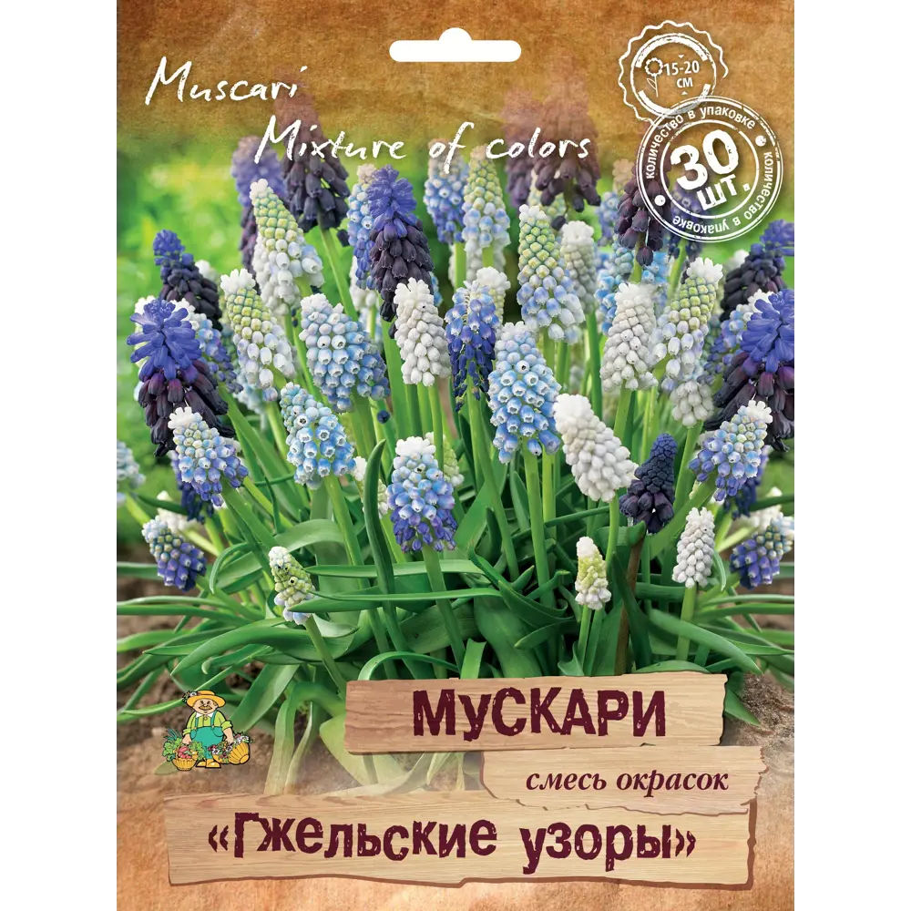 Мускари Гжельские узоры микс, 30 шт. 88659240 STLM-2058297 ПОИСК 