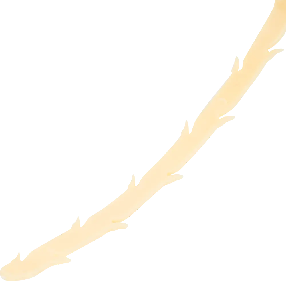 Трос для прочистки труб Santreyd 51 см - механическое решение засоров 18878997 STLM-0013395 - Вид №2