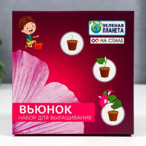 90694968 Набор для выращивания с глиняным горшочком Вьюнок STLM-0341623 SIMALAND