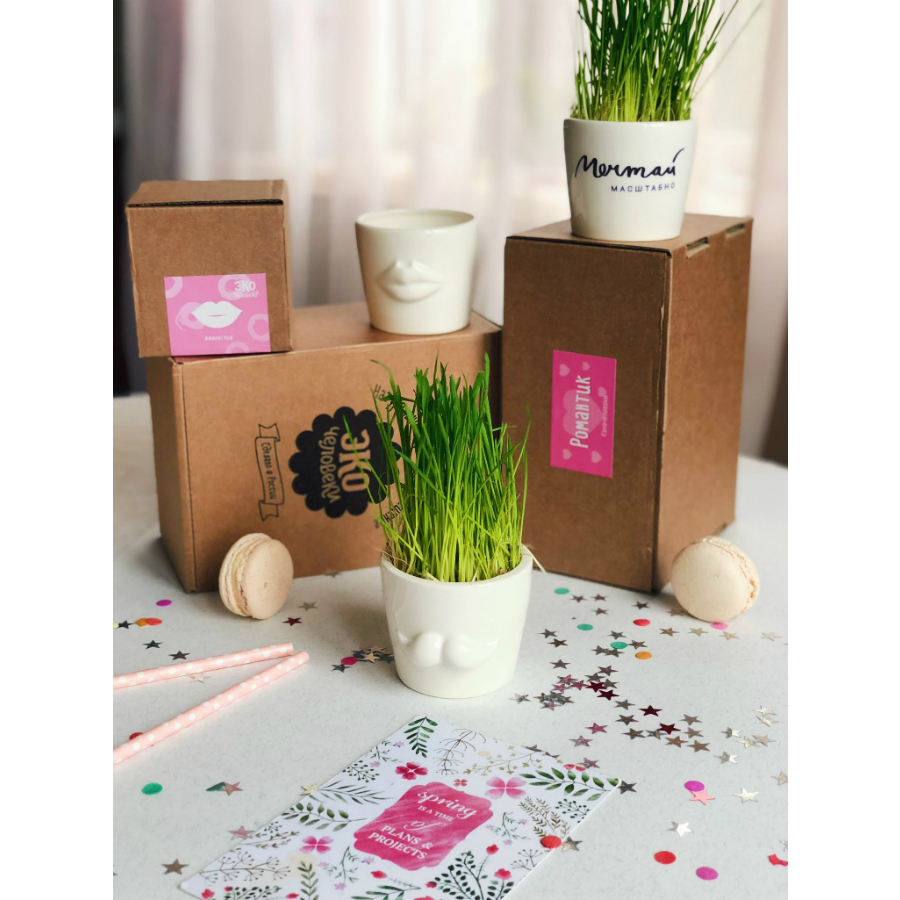 Набор для выращивания Eco мини-кашпо «Усы» ЭКОЧЕЛОВЕКИ MIN102 - Вид №7