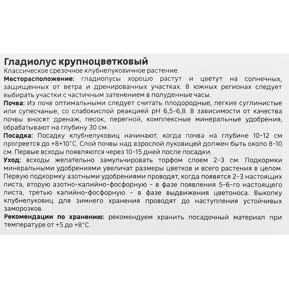 Гладиолус Айвори Присцилла, 3 шт GEOLIA STLM-2000224 - Вид №1